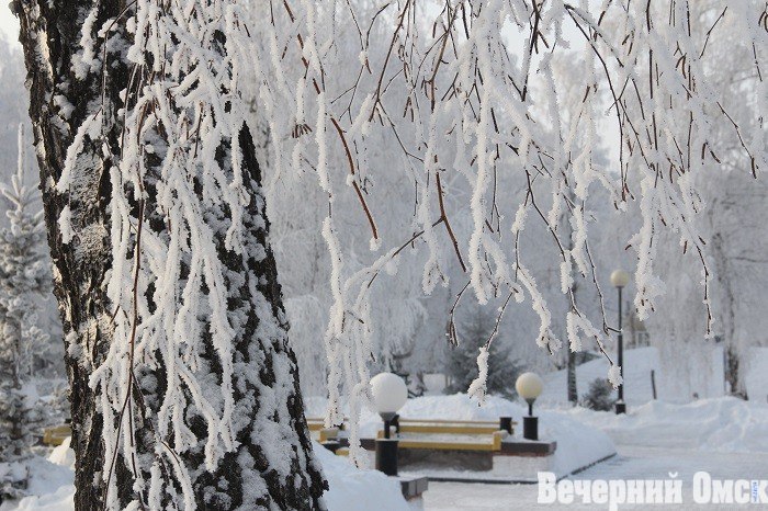 А что с погодой в новогоднюю ночь? Согласно данным Gismeteo, в преддверии 2026-го и в течение первых январских дней температура воздуха будет колебаться от -15 до -20 градусов