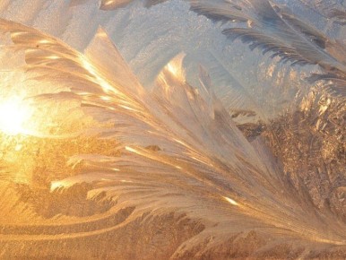 ��������� � ��� ������������� � ������ �����������