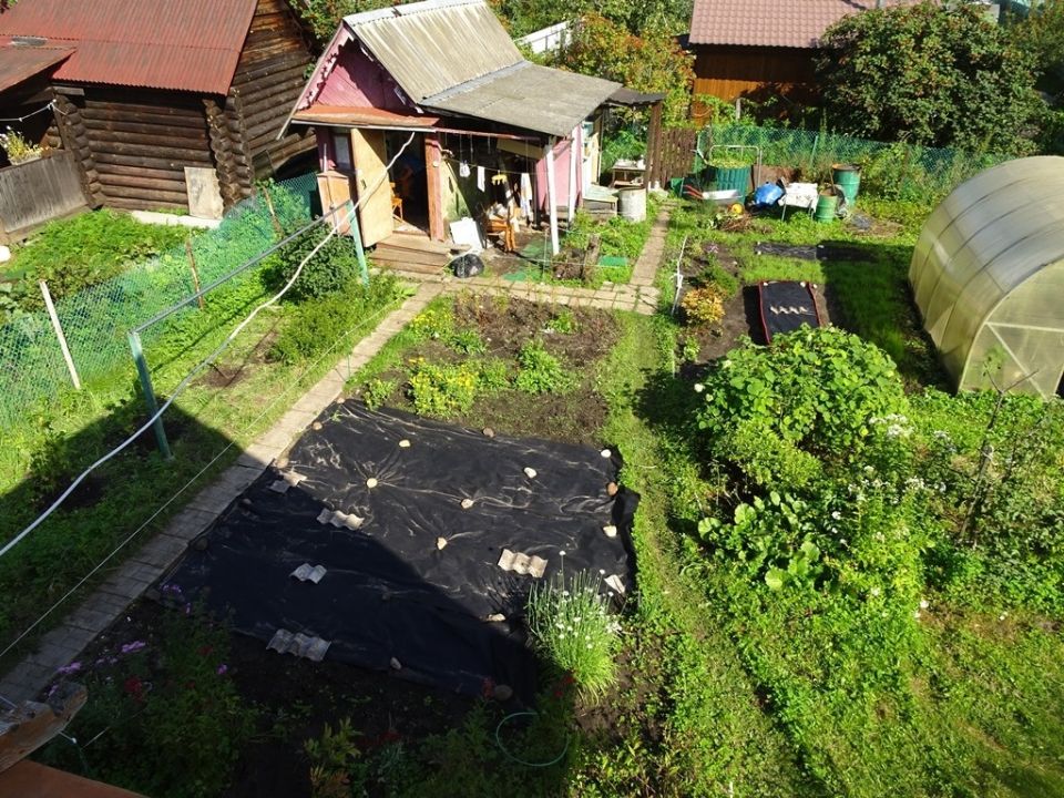 Как трансформация дачного участка вдохновляет на новые свершения