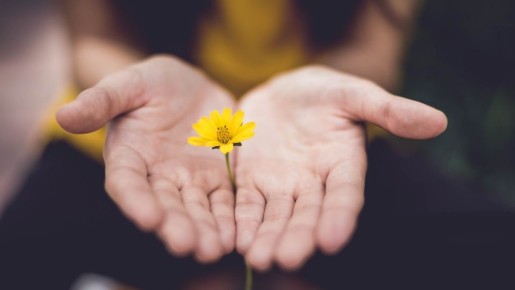 ��� ��� ������ ����������� ����: ���� ����� ������ �������� � �������