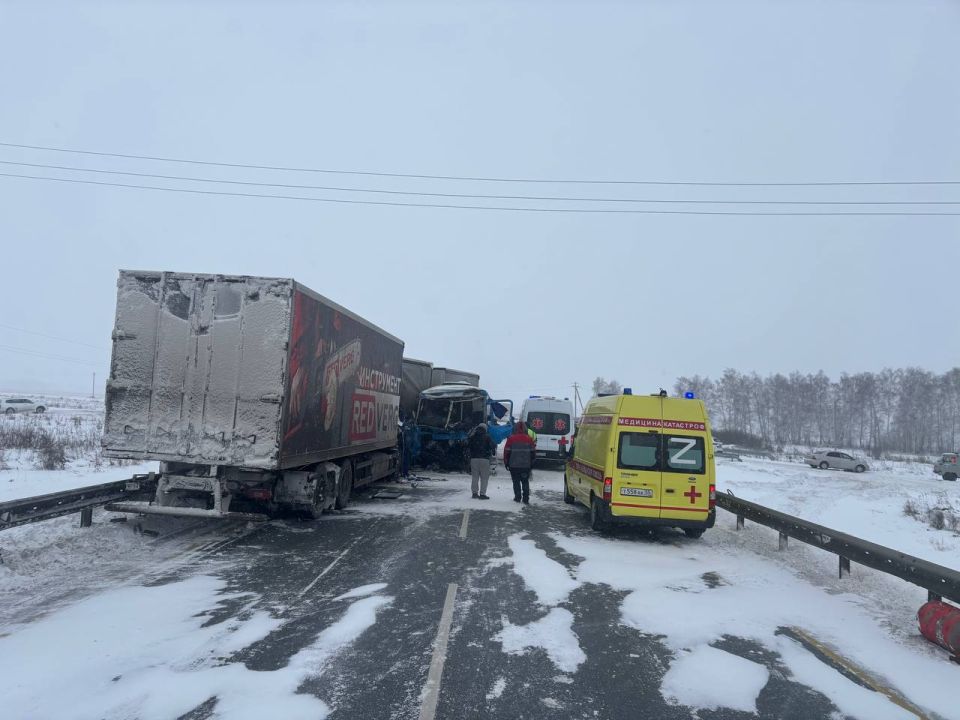 Шесть человек погибли в ДТП в Омской области — УМВД РФ по Омской области