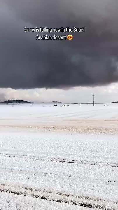 В Саудовской Аравии выпал снег