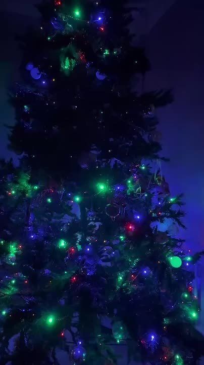 ������ ����, �����!. ���� �������� ��� �������� ��������� � ������ ����