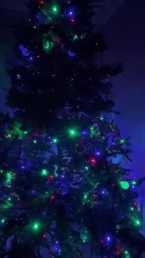 ������ ����, �����!. ���� �������� ��� �������� ��������� � ������ ����