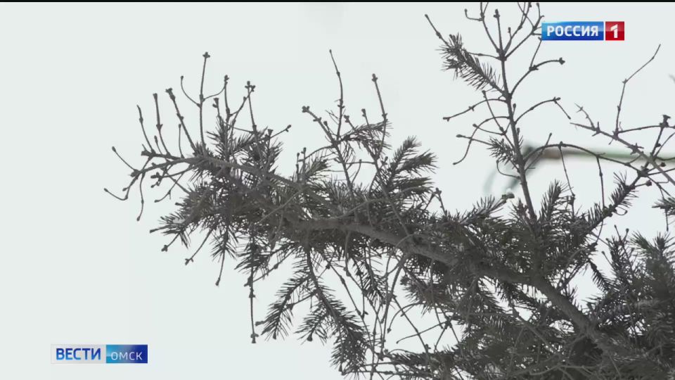 � ����� ������ ���������� ���������