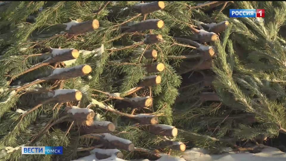 � ����� ����������� ���� ������ �� ���������� ������������� ����� �������������� �������� ����� ������