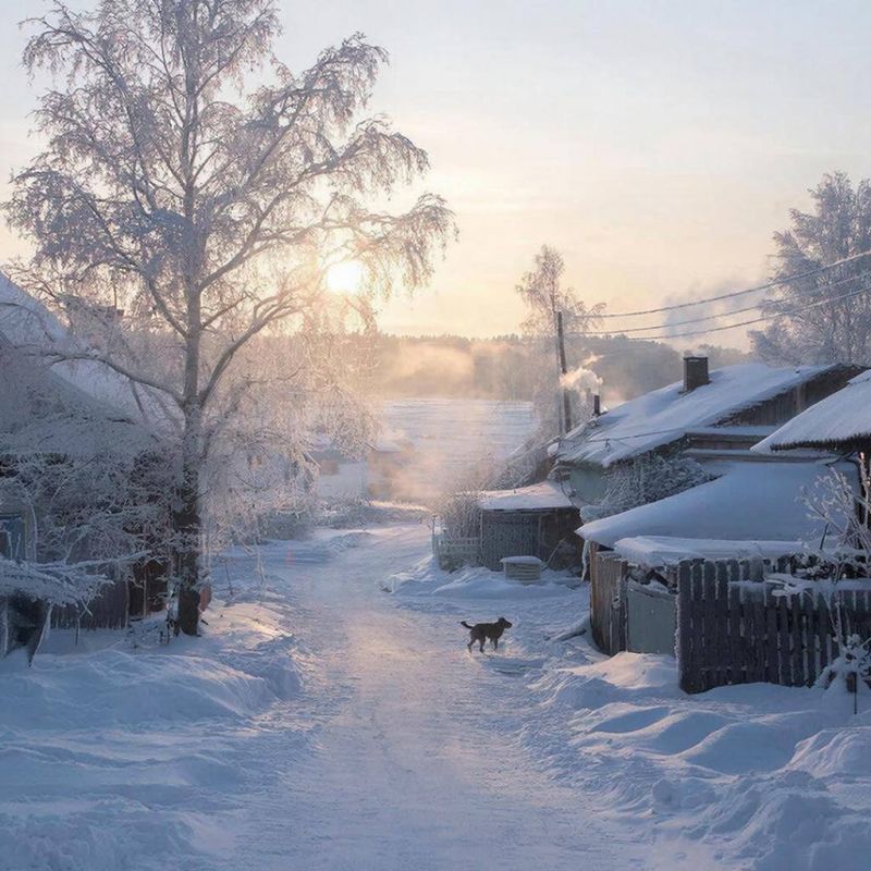 «Зимнее утро» от Омск ТВ. Продолжаем нашу рубрику #галереяподписчиков Омичи, давайте делиться новогодним настроением с утра! Запускаем еженедельный челлендж – только уют, зимняя атмосфера и утренние истории