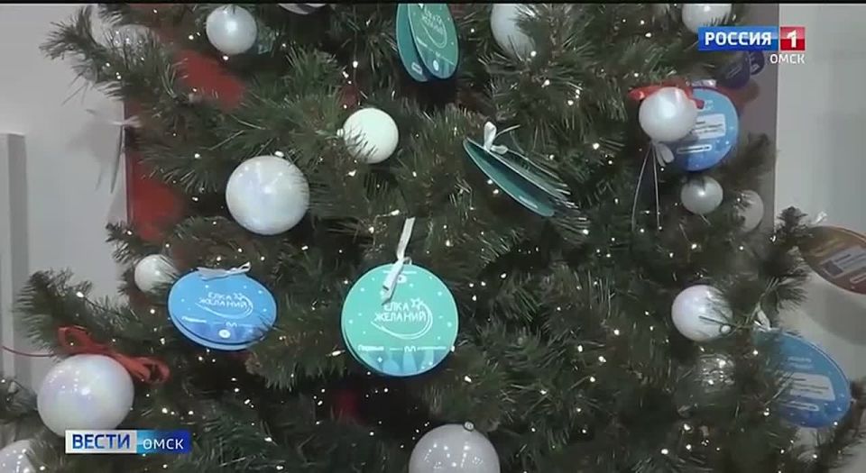 Мечта юного омича Антона Евсеенко, который написал письмо на "Ёлку желаний", исполнилась