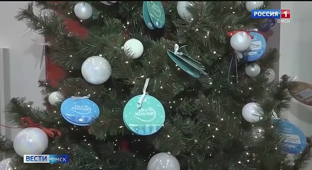 Мечта юного омича Антона Евсеенко, который написал письмо на "Ёлку желаний", исполнилась