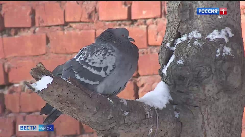 �� ������ ������� ����������� �������� ���������