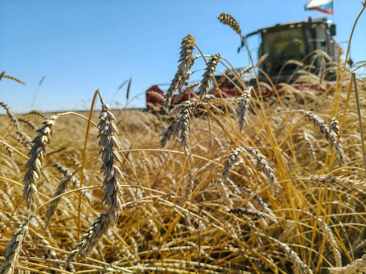 В Омской области по итогам 2025 года объем производства сельхозпродукции вырос до 150 миллиардов рублей