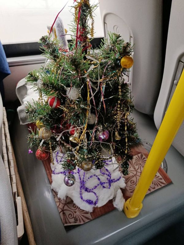 ������ ����, �����!. ������������ � �������� ������� �������� � ���������� ��������� � ����������� �� ����������� ��������� � ����������