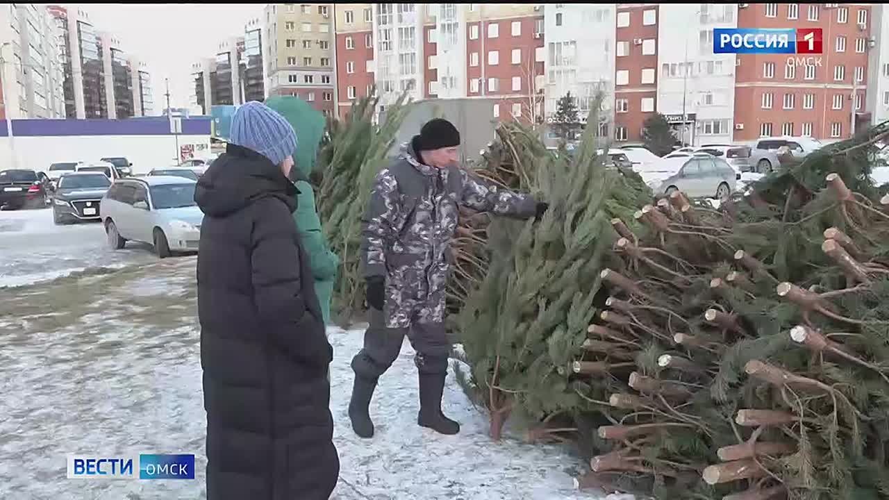 Из-за аномально теплого начала зимы активизировались так называемые «клещи-ёлочники»