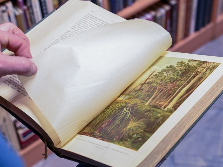 Владелец омского магазина «Книги на Тарской»: «Никогда не думал, что наш книжный магазин проработает десять лет» Владелец омского магазина «Книги на Тарской»: «Никогда не думал, что наш книжный магазин проработает десять лет»