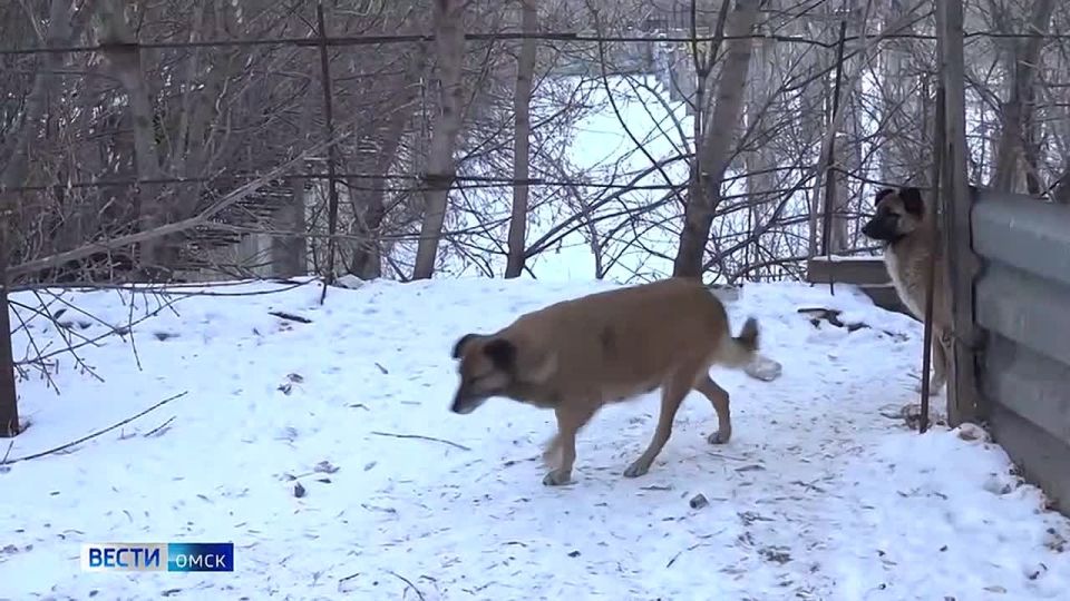 ������ ���������������� �������� ������ ������� ��������� ������ ������� ���������������� ����� �� ������������ ���������