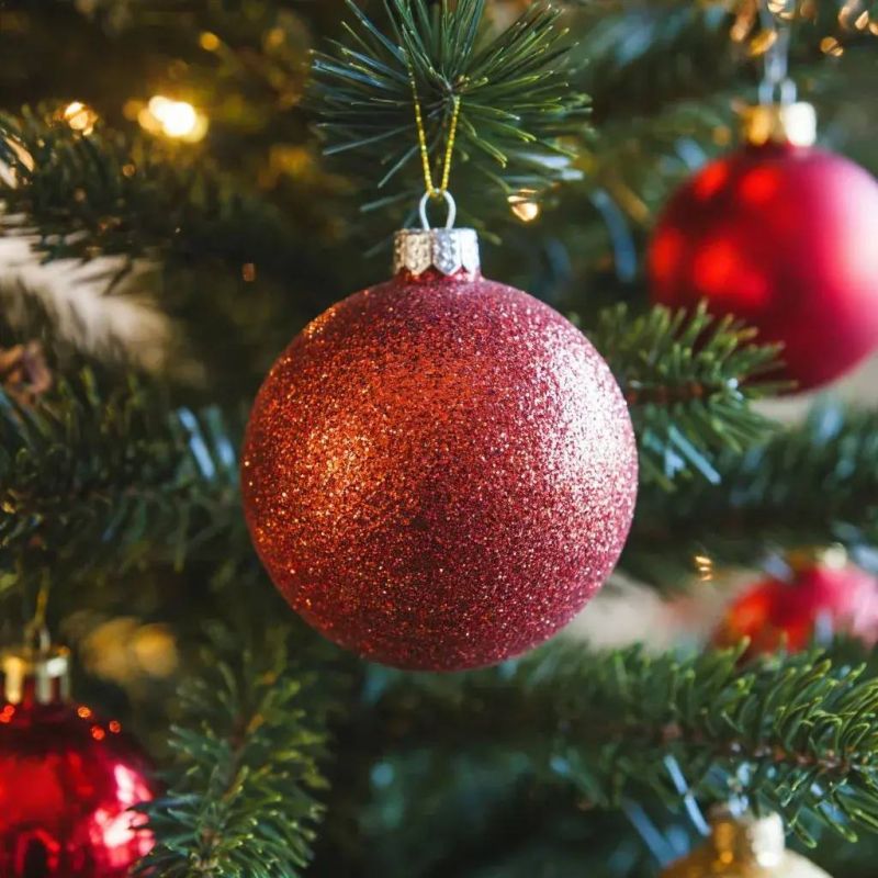 ������ ����, ���� !. ������� 25 �������, �������