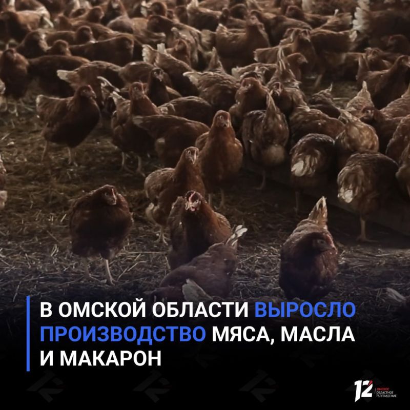 � ������ ������� ������� ������������ ����, ����� � �������