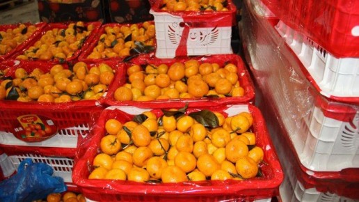 На омские прилавки попали 20 тонн «химических» мандаринов из Китая