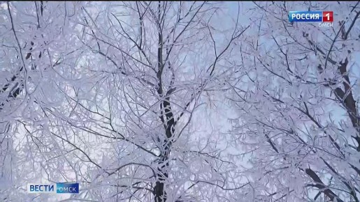 � ������ ������� ����� ������ ������� �����������