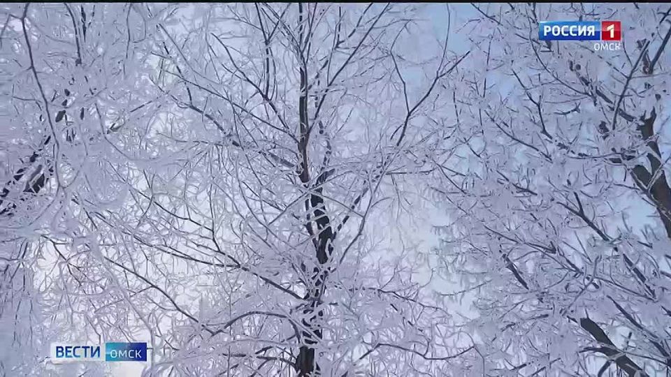 ������ ������� ��������� �������� ��������� �������� ���� � ���� ����