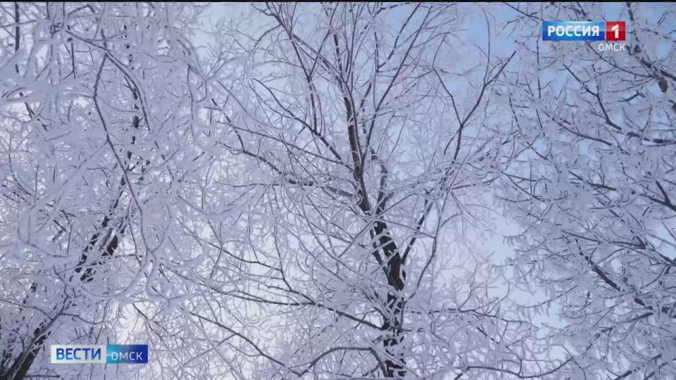 ������ ����, ������� �����!