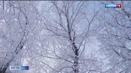 ������ ����, ������� �����!