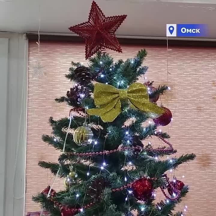 Виталий Хоценко: Маленькие омичи Владимир и Александр загадали получить в подарок на Новый год самокат и конструктор