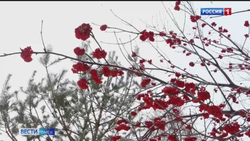 В Омске и области 31 декабря ожидается резкое ухудшение погоды