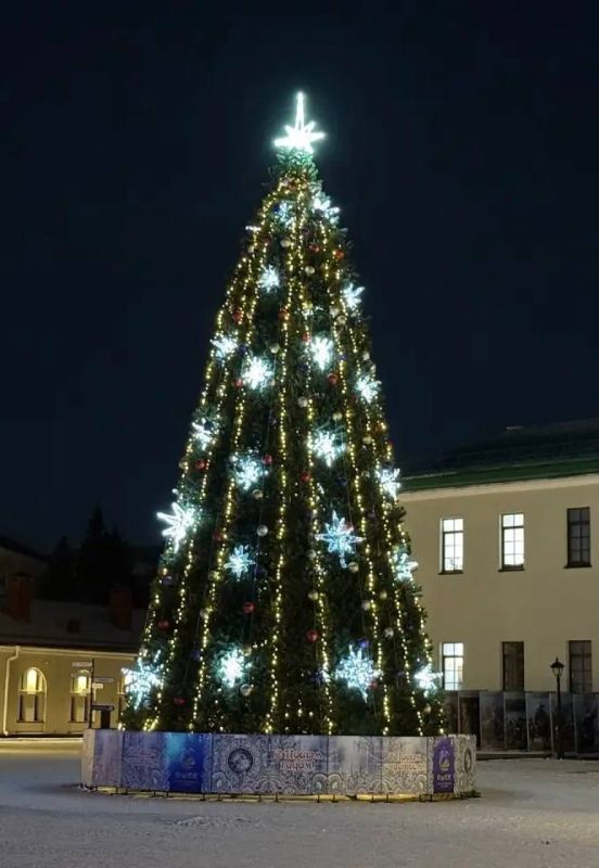 31 декабря омичей и гостей города приглашают встретить Новый год у Главной городской ёлки на территории музея-исторического парка «Омская крепость»