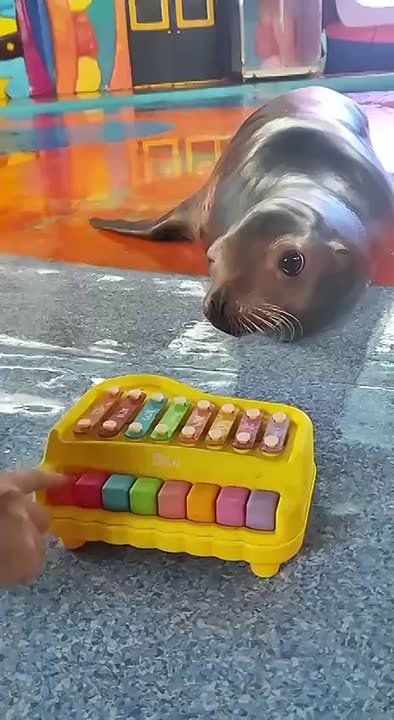 � ����� ����� ������ ��������-����� � �������� ���� �� ����� ��� ���