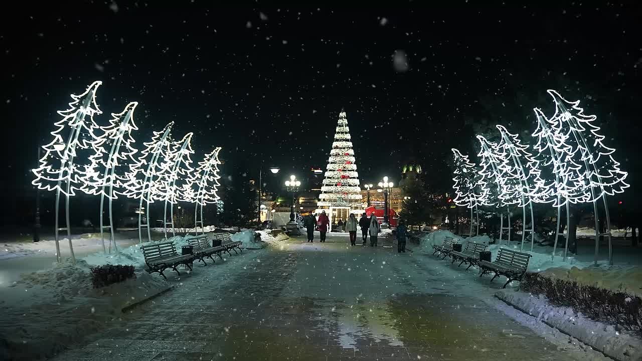 Новогоднее поздравление Губернатора Омской области Виталия Хоценко