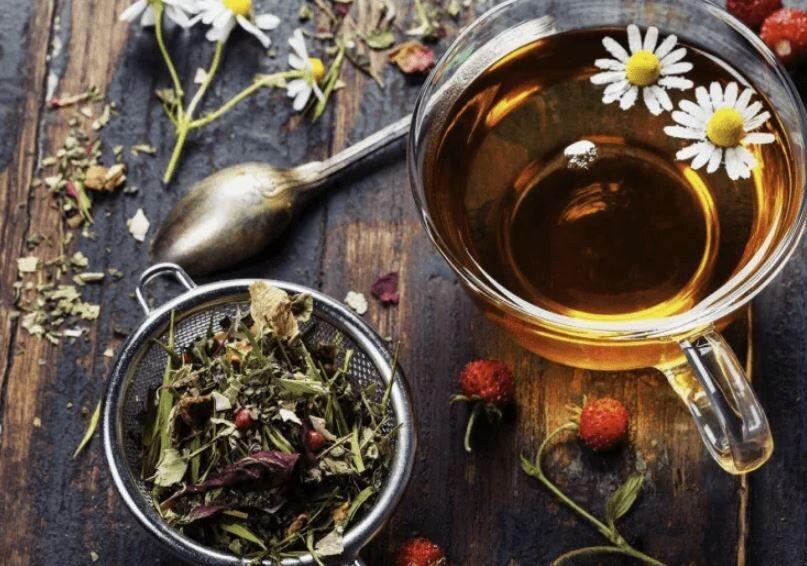 Топ-5 лекарственных растений для вашего цветника: красота и здоровье в одном флаконе