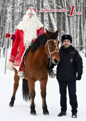 Один…. Самое время загадать желание, и в полночь Дед Мороз его обязательно исполнит!