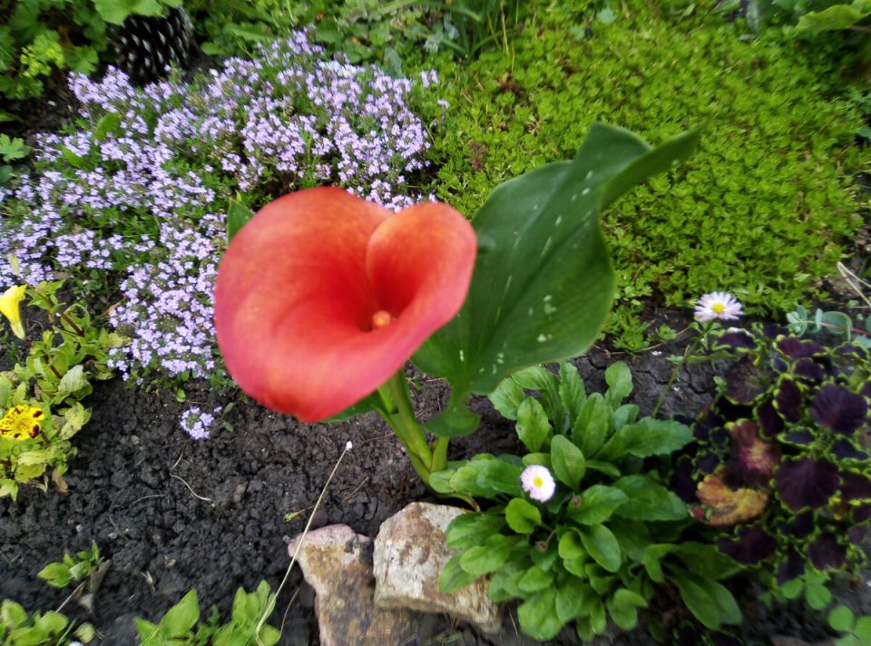 ��� ��������� �����: ������� �������� ������� � �����