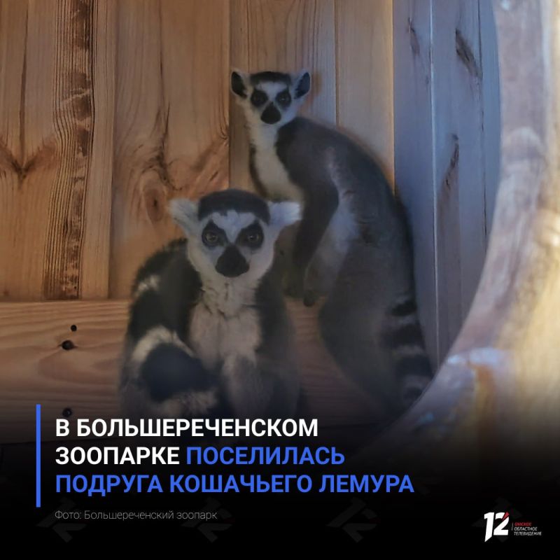 � ��������������� �������� ���������� ������� ��������� ������