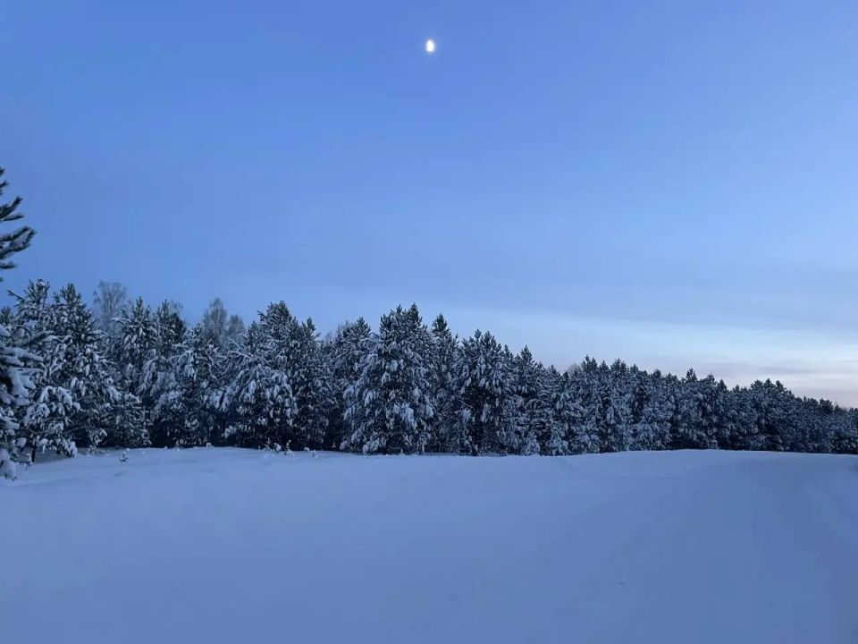 Погода на первые выходные 2026 года в Омской области