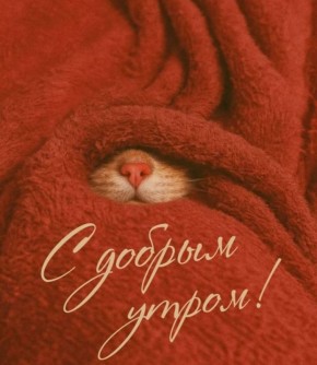 ������ ����, ����!. ������� 2 ������, ������� ���������� �������� � ����� �������: ����������� ��� ������, ����� � ����������� ��������, � ������� ������� ����-�� ���� ������ � �������� ������, ������� ��������� ����...