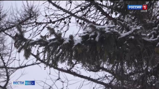 Омичей ждут перепады температур
