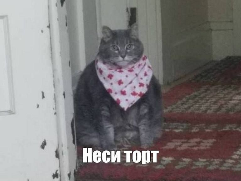 ������ ����� ������� ����� �� ����� ������� ������