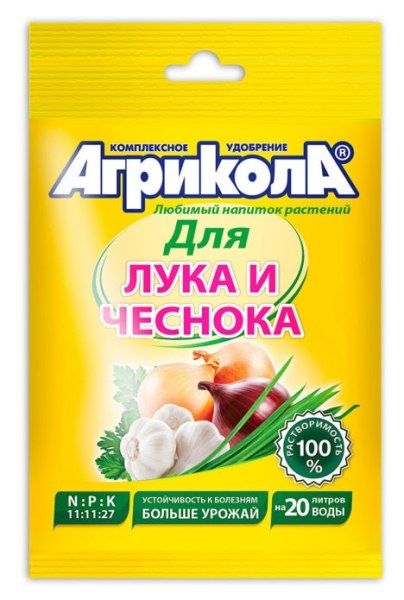 Как правильно подкормить лук севок для богатого урожая: советы для огородников