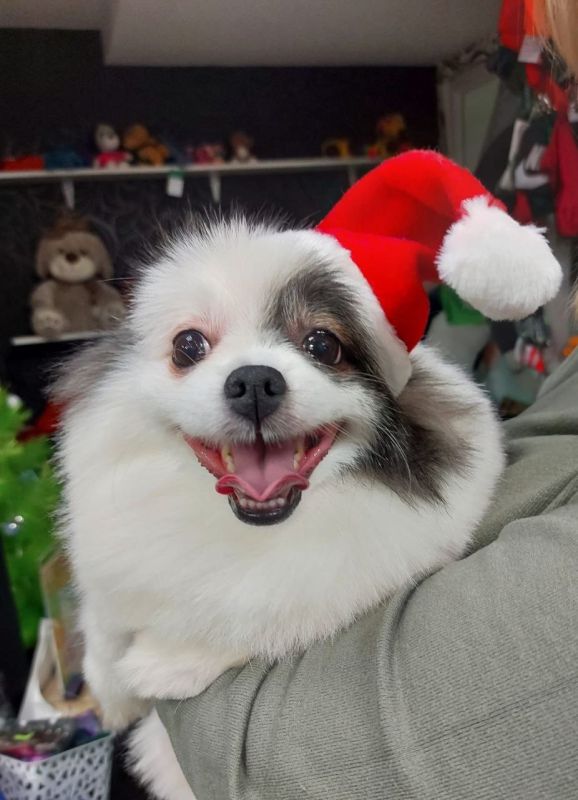 ���������� ����� ��� � �����: ����� �������� ����� �������� ���������� ����� � �������� �� ������