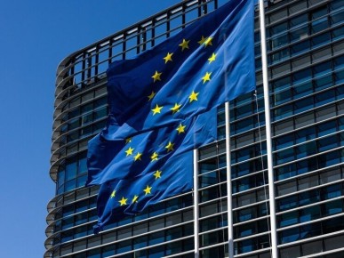 ����������� ���������� �������: ���� ��� ����������� ���� ��� ������?