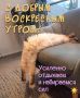 Доброе утро, Омск!. Сегодня 4 января, воскресенье Что сегодня отмечаем: