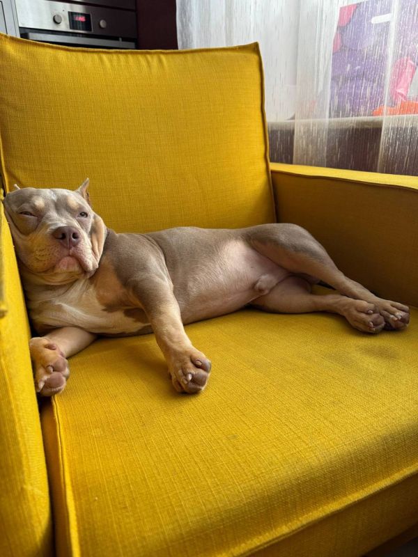 �� ���, �������� ����� ������ �������� ������� �������!