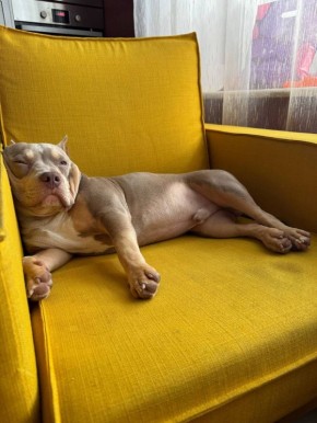 �� ���, �������� ����� ������ �������� ������� �������!