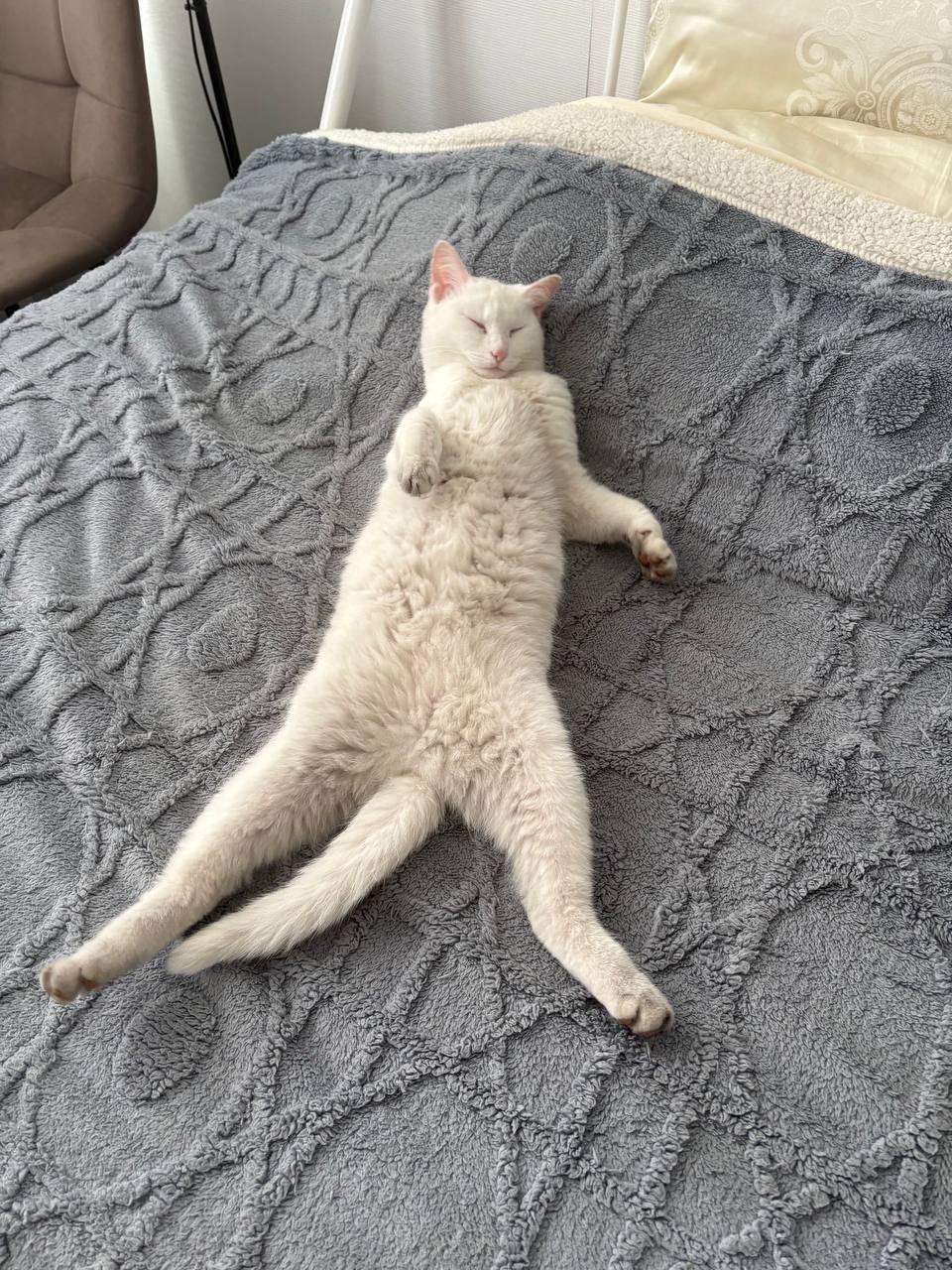 Ну что, подводим итоги нашего конкурса «Спящее царство»! Ну что, подводим итоги нашего конкурса «Спящее царство»!