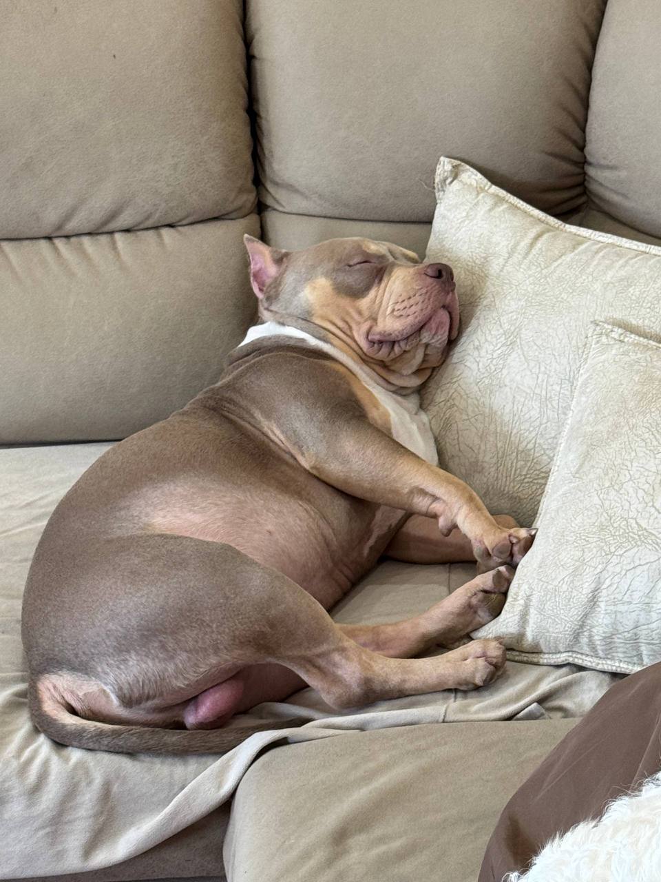 Ну что, подводим итоги нашего конкурса «Спящее царство»! Ну что, подводим итоги нашего конкурса «Спящее царство»!