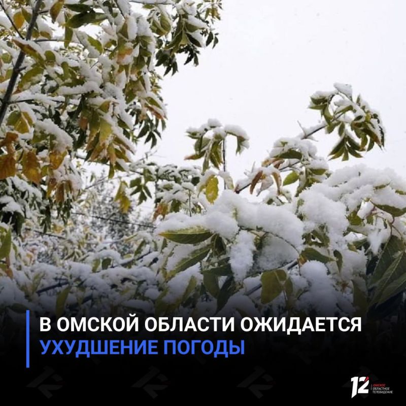 � ������ ������� ��������� ��������� ������