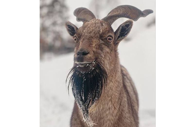 � ��������������� �������� ���� ������������ ���������� ���� � ������ �� ������ ������!