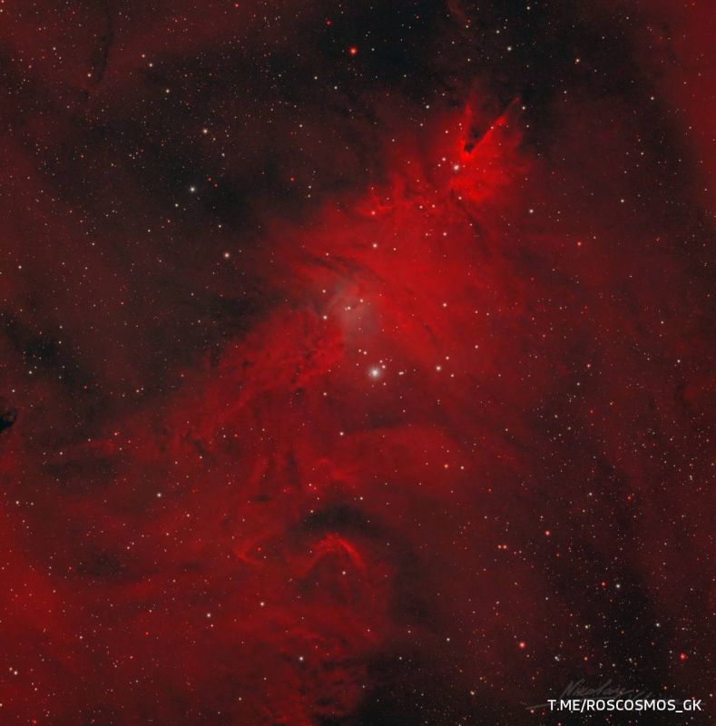 ����������� "�������������� ����" ������� ���������